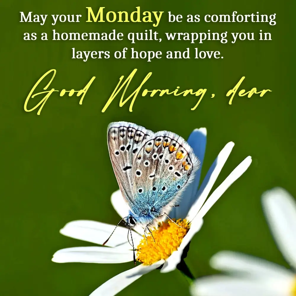 Monday Vibes Quotes