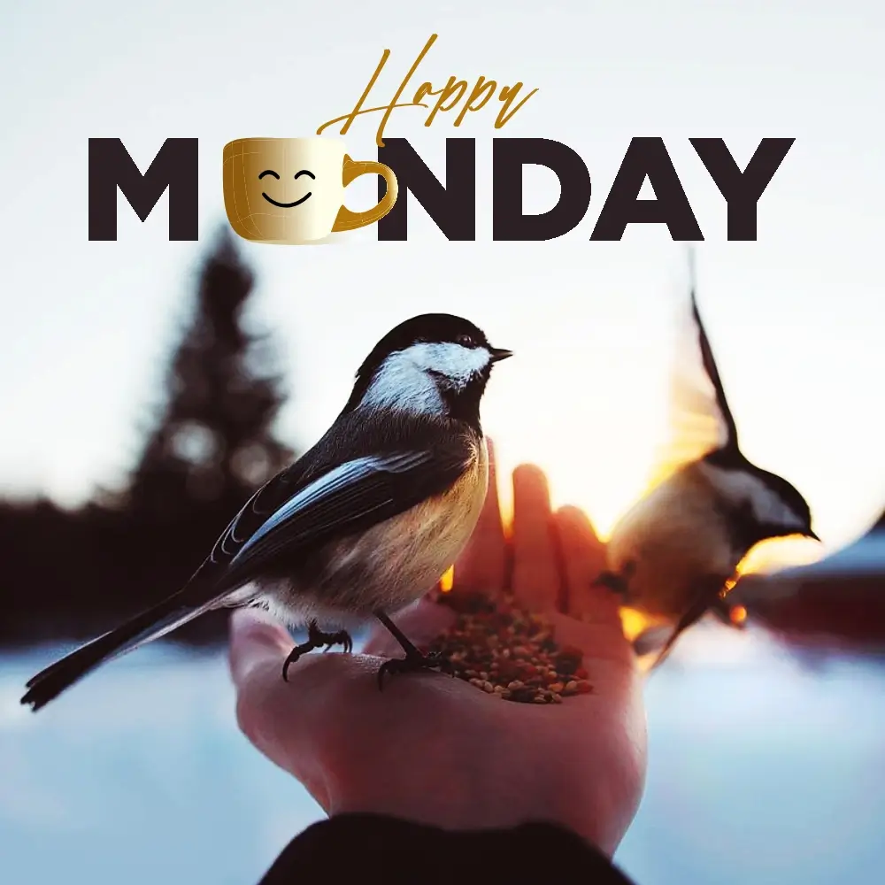 Monday Workout Motivation Quotes