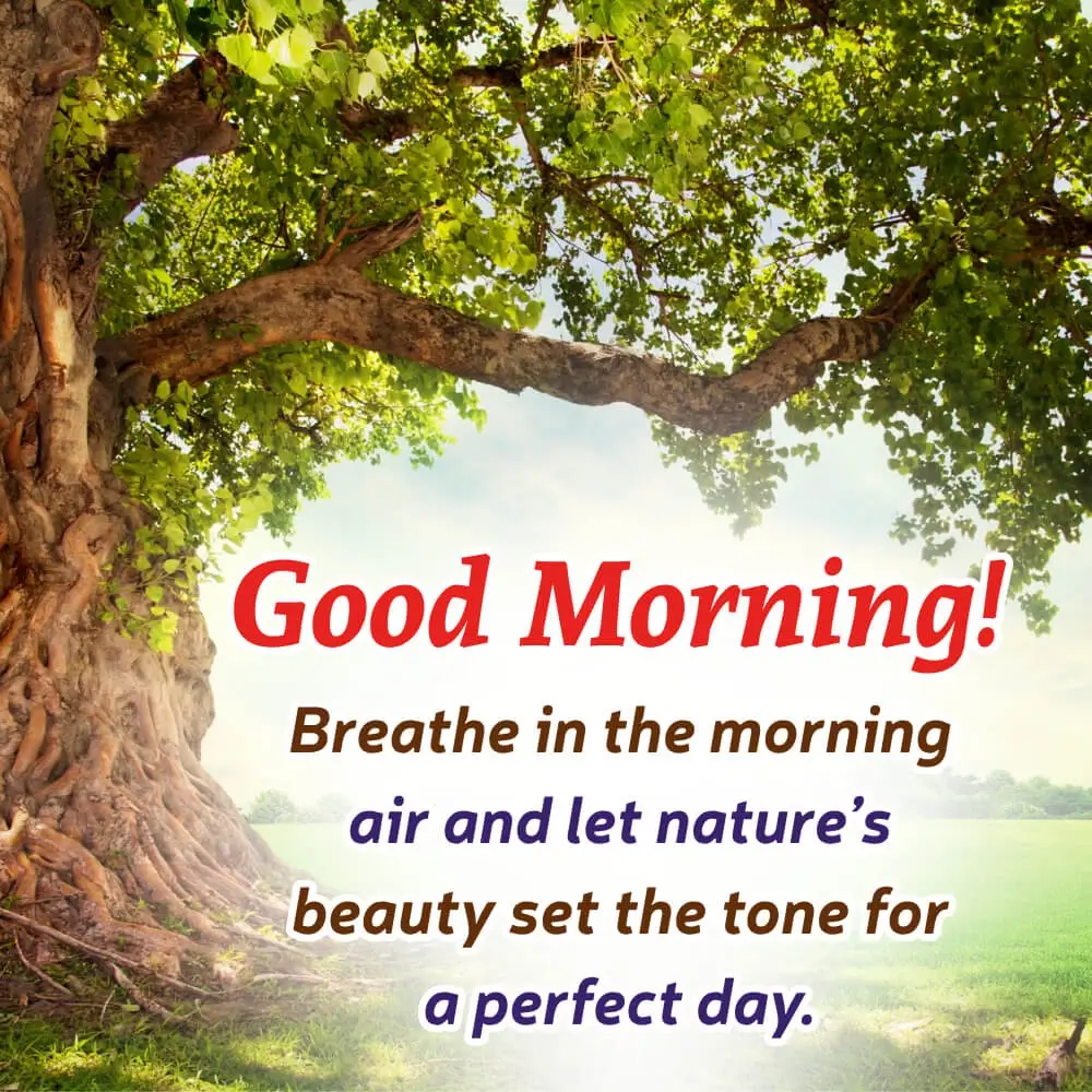 Nature And Sunrise Background