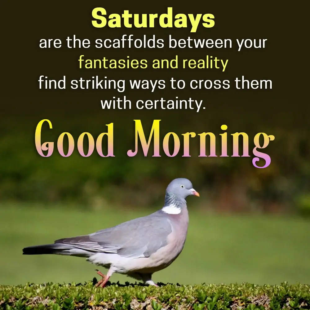 Positive Saturday Quotes