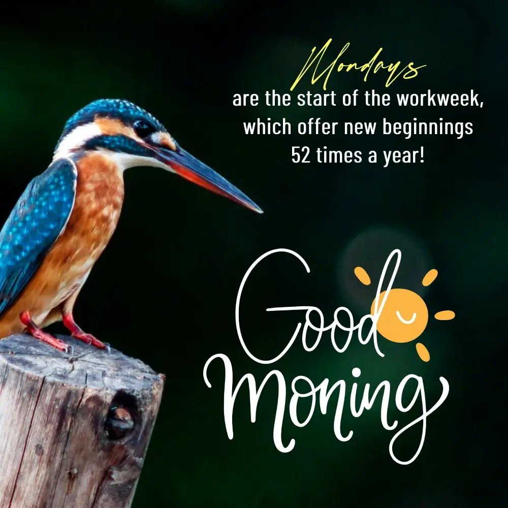 Quotes About Monday Motivation
