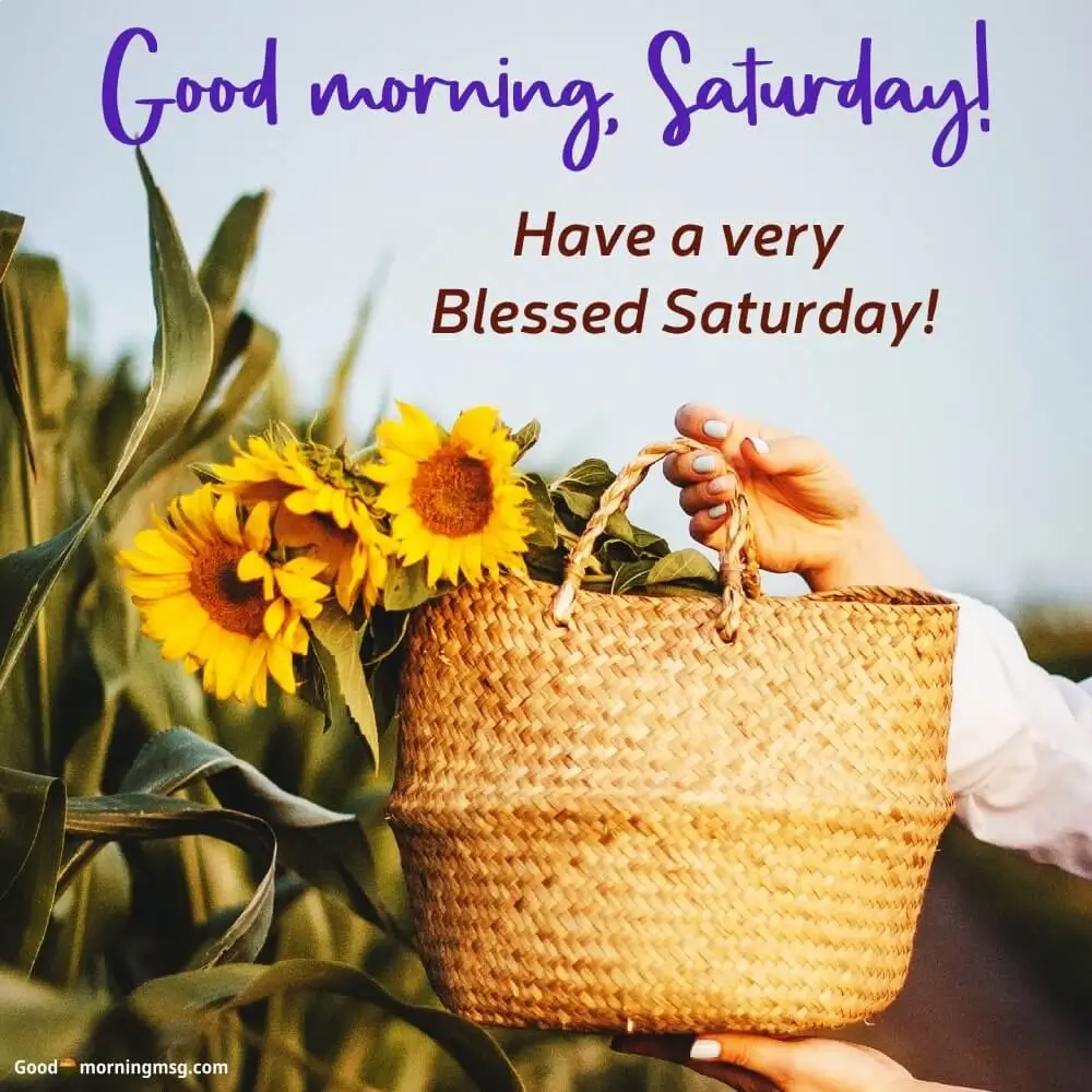 Saturday Drinking Quotes