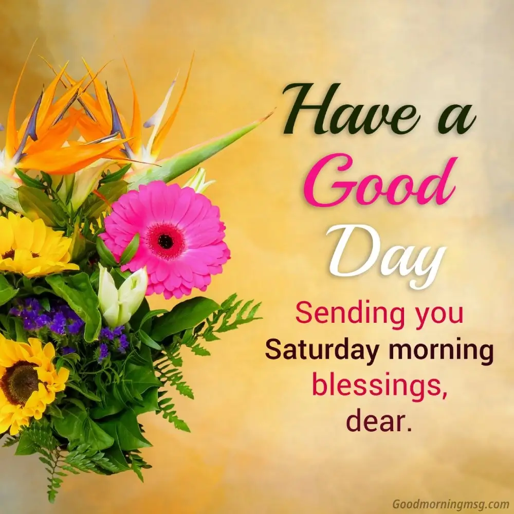 Saturday Mood Quotes
