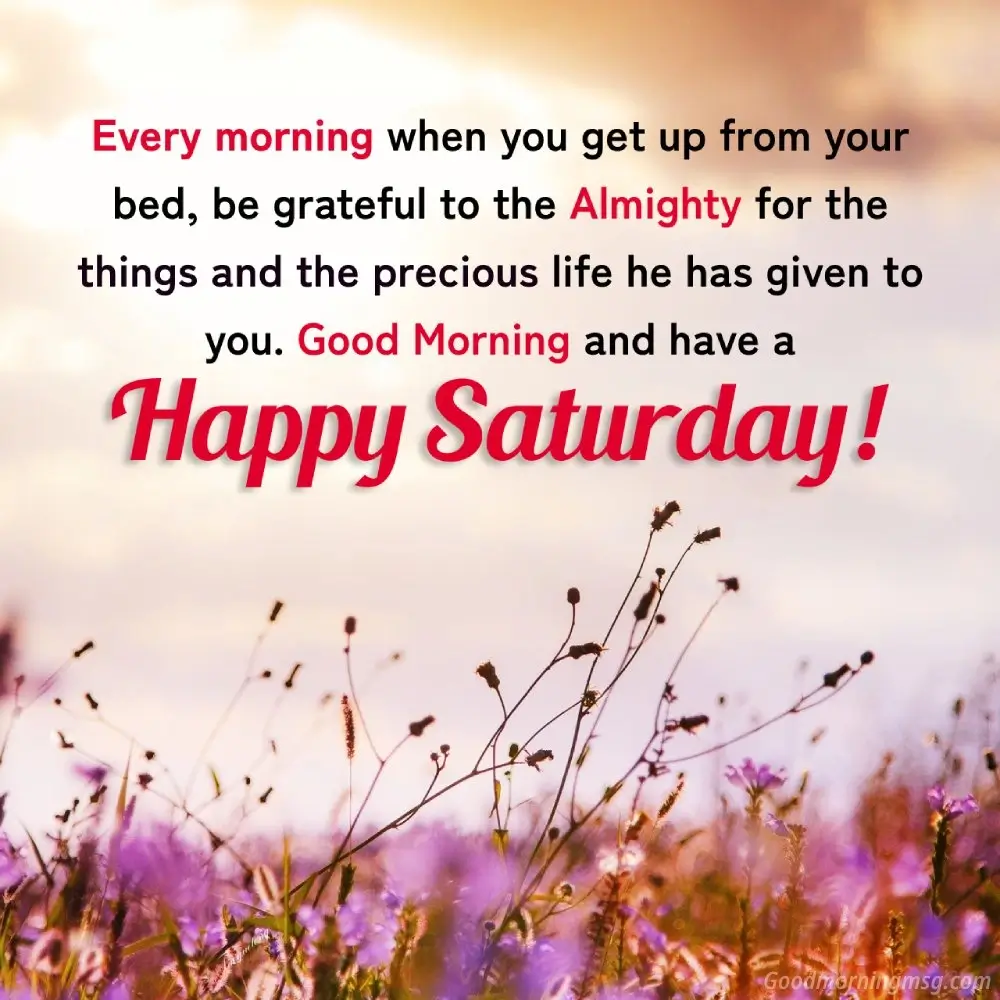 Saturday Morning Greeting Photo
