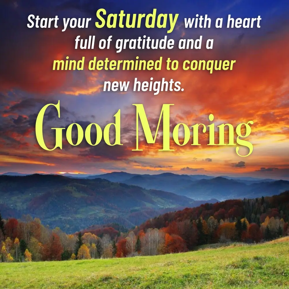 Saturday Morning Quotes Funny