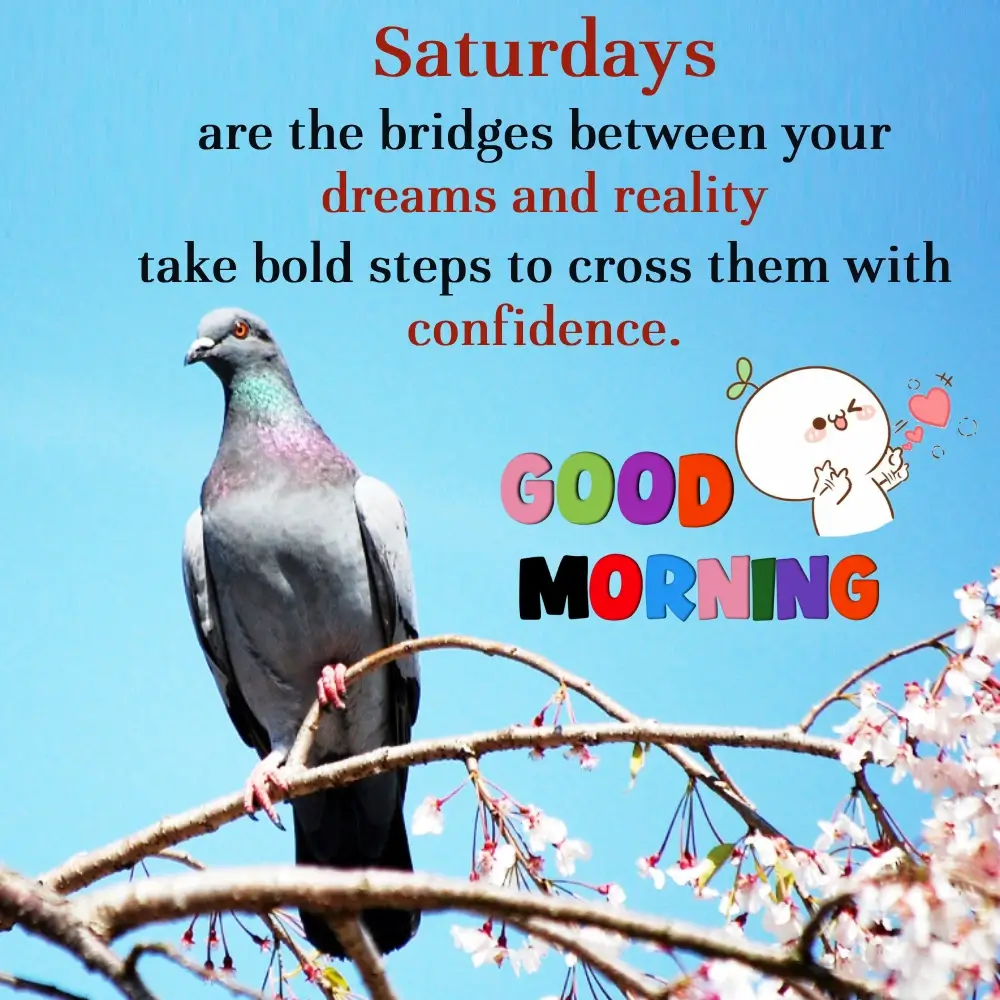 Saturday Quotes