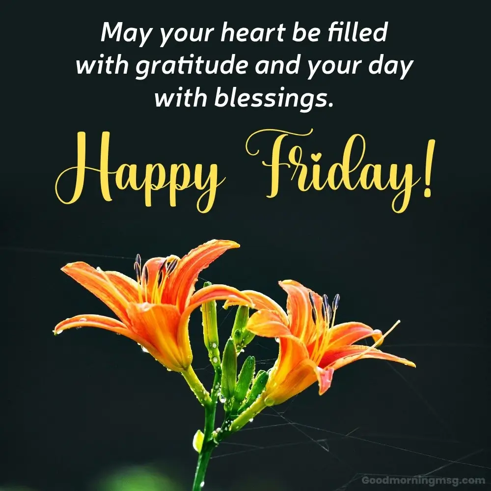 Sgt Friday Quotes