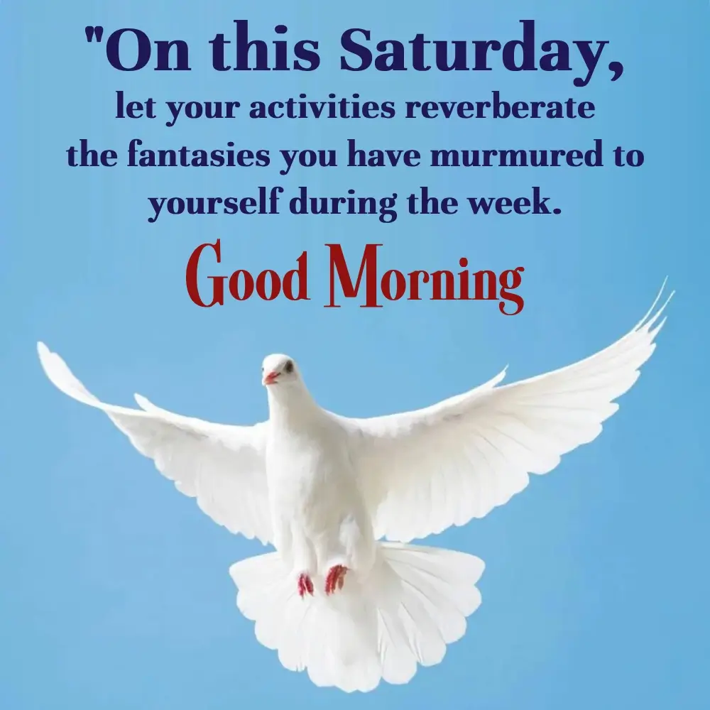 Short Saturday Motivational Quotes