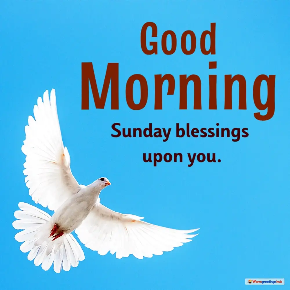 Sunday Blessings Quotes And Images