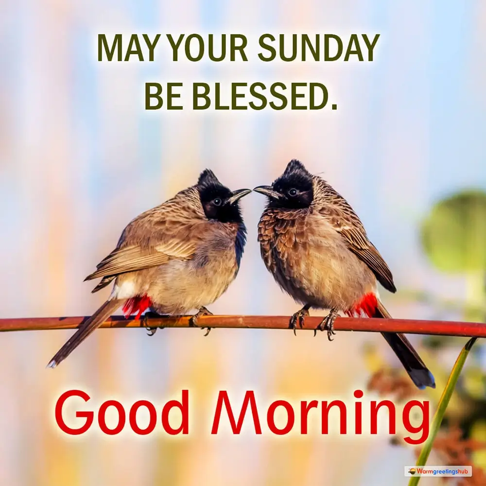 Sunday Dinner Quotes