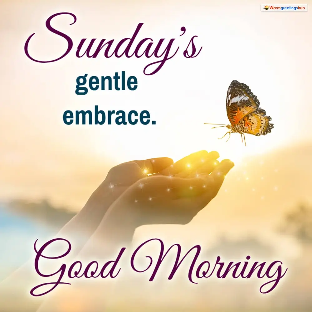 Sunday Lunch Quotes