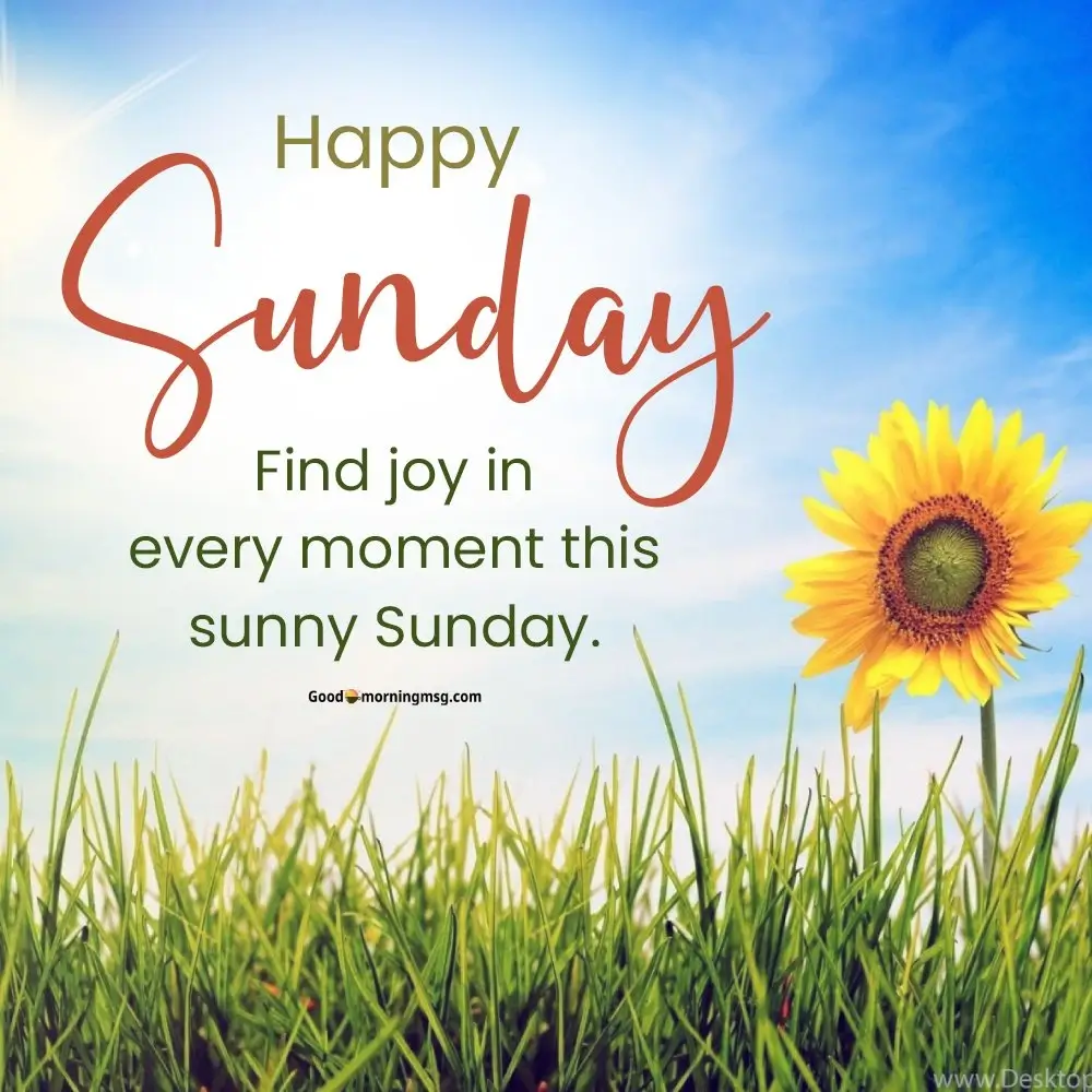 Sunday Mood Quotes