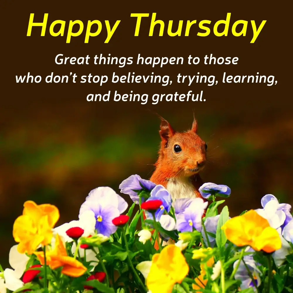Thankful Thursday Quotes