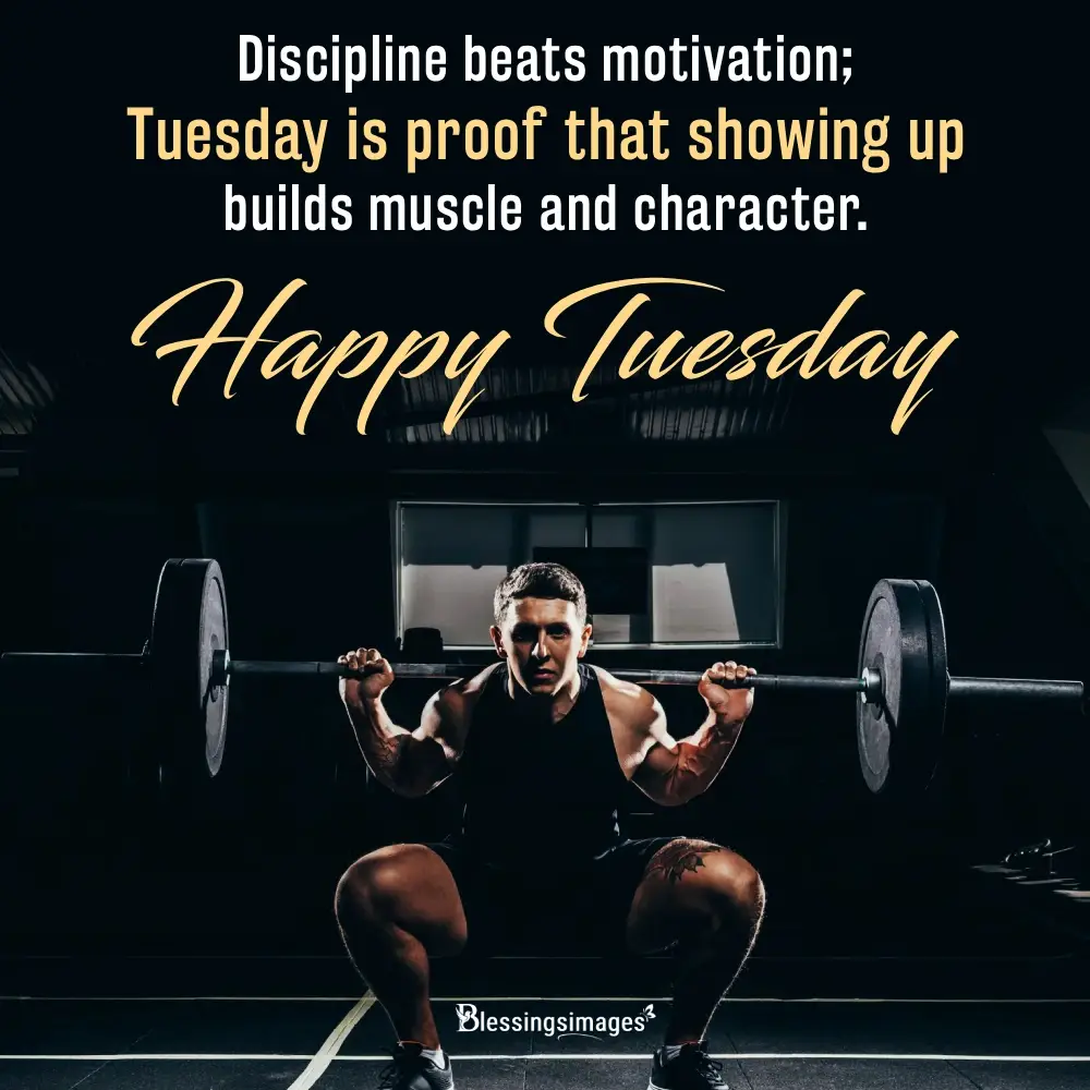 Thoughtful Tuesday Quotes