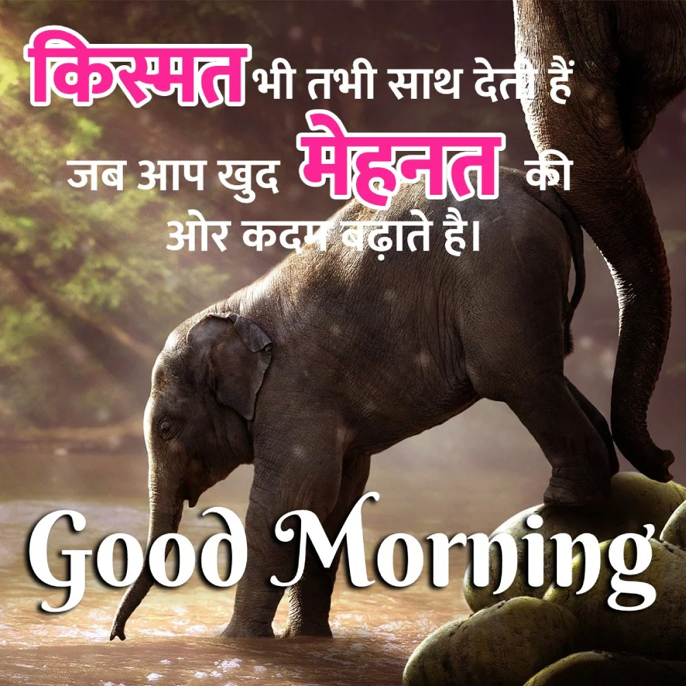 Good Morning Message In Hindi For Friend