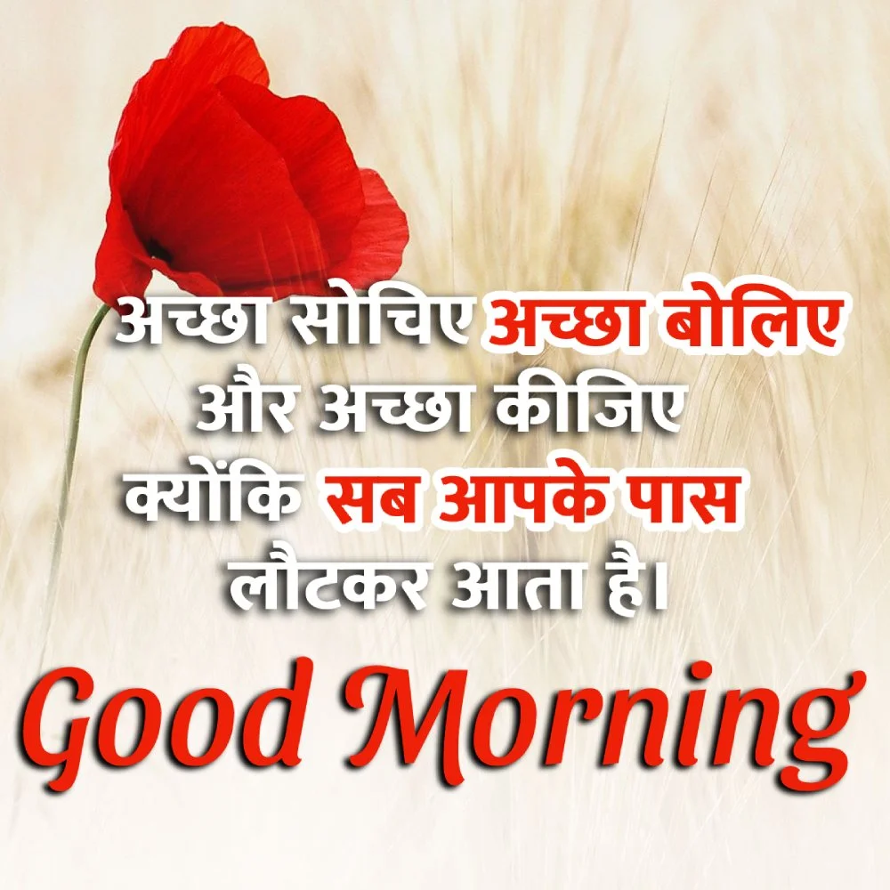 Good Morning Message In Hindi For Whatsapp