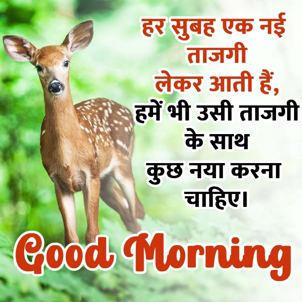 Hindi Good Morning Wallpaper