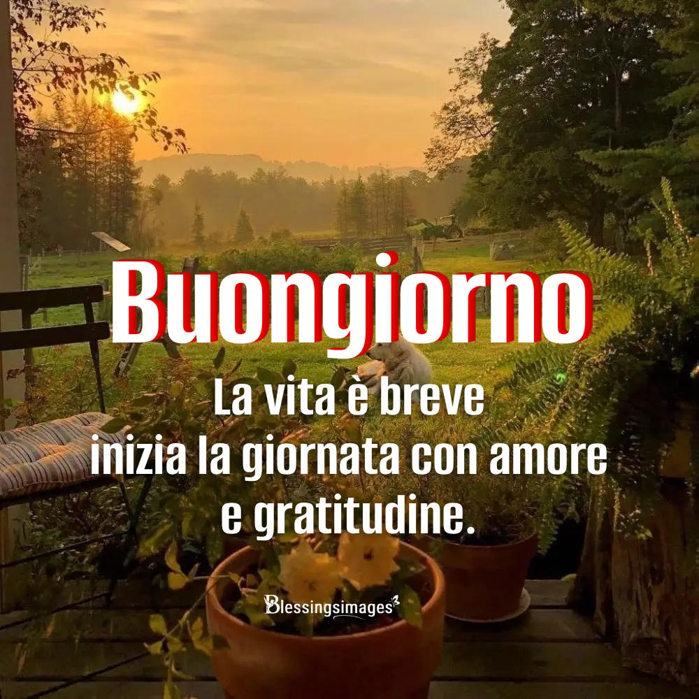 Buongiorno Buon Mercoledì