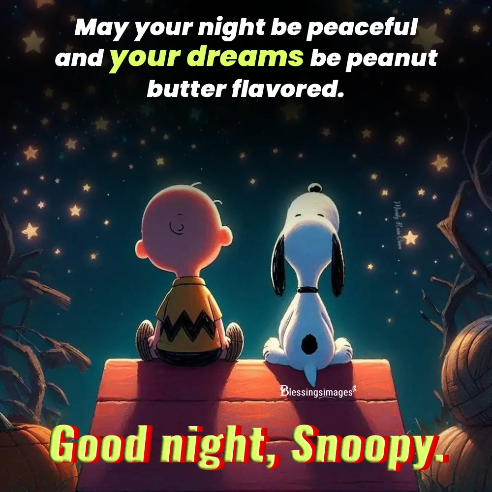 Download Free Snoopy Good Night Images For Social Sharing
