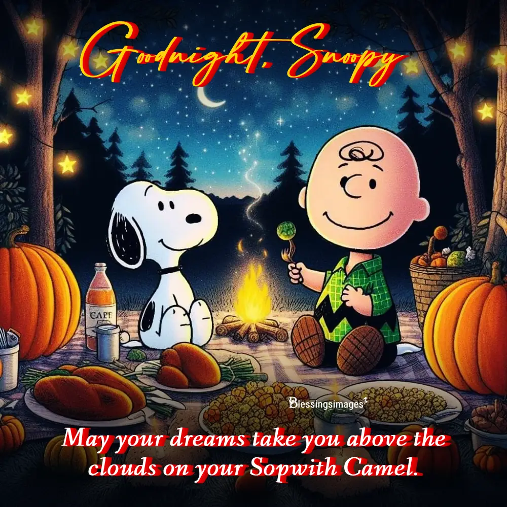 Sweet Snoopy Good Night Blessings For Ending Your Day Calmly