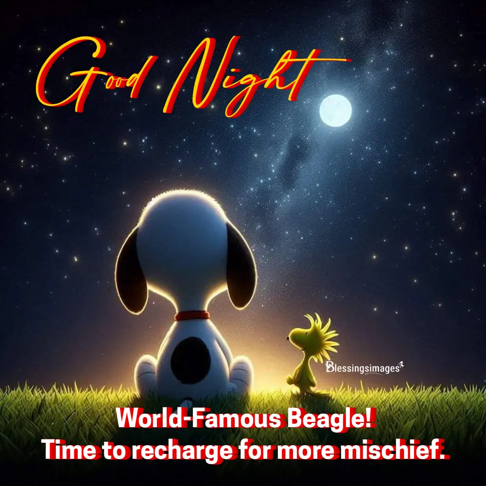 Funny Snoopy Good Night Memes To Make Bedtime More Cheerful