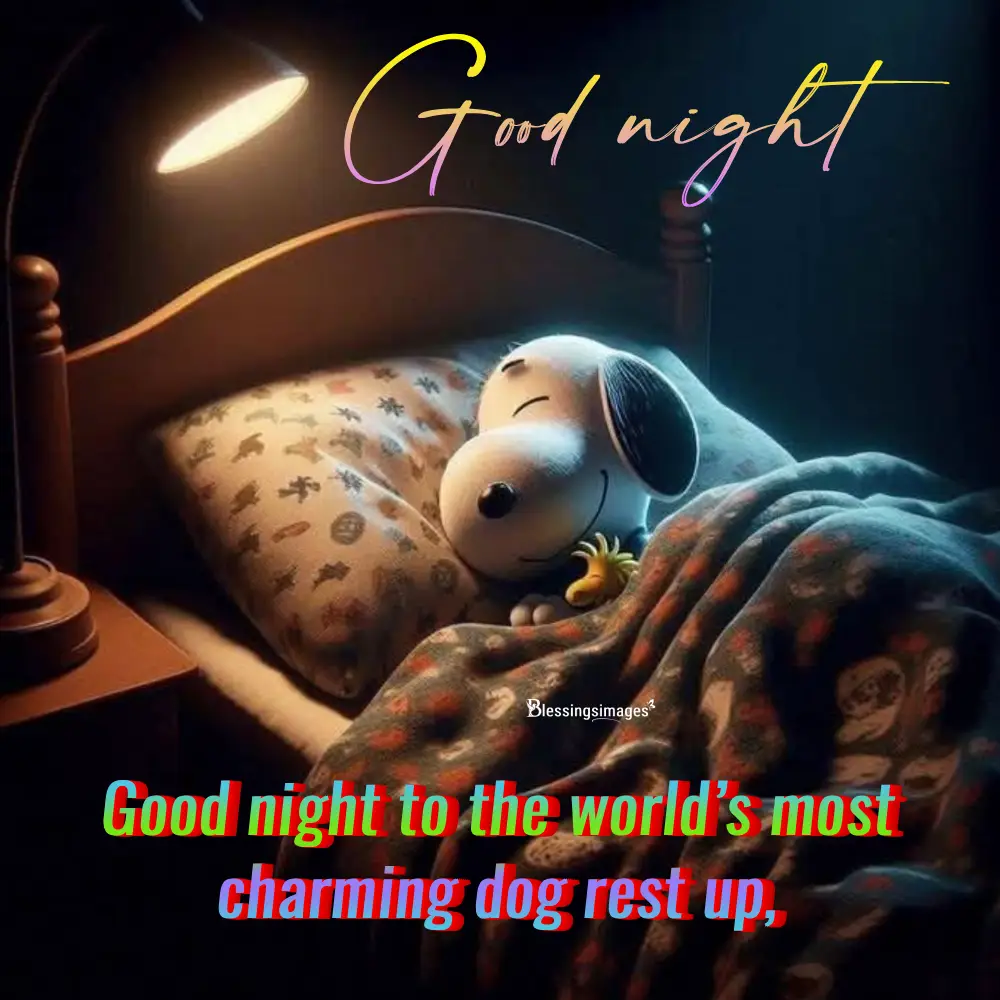 Good Night Greetings Featuring Charlie Brown And Snoopy Together