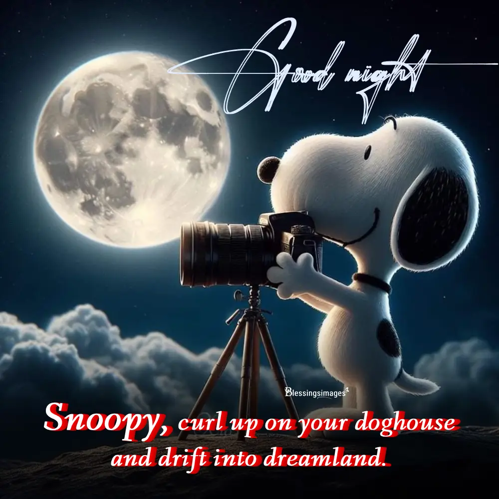 Sweet Charlie Brown And Snoopy Good Night Wishes For Bedtime
